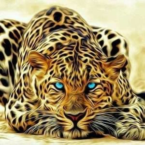 Meet your Posher, Darian